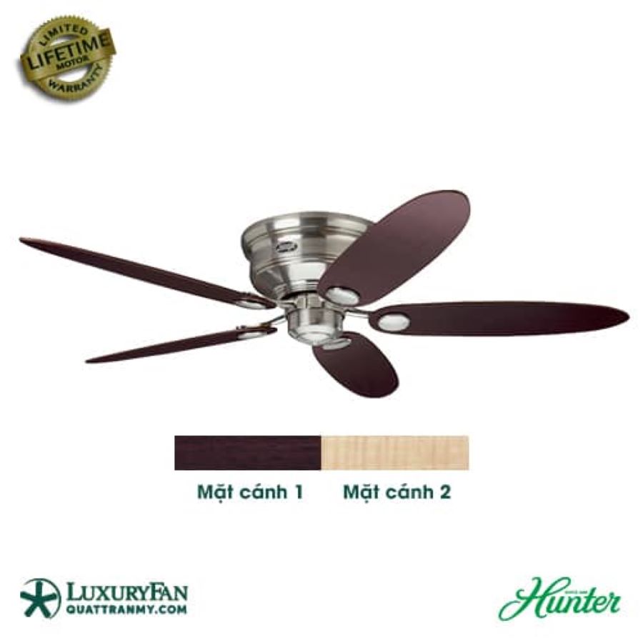 HUNTER ARCOT 50646