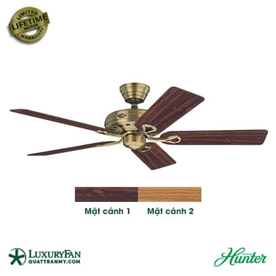 HUNTER SAVOY 24520