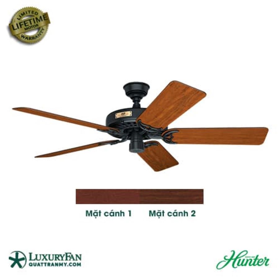 HUNTER ORIGINAL 50685