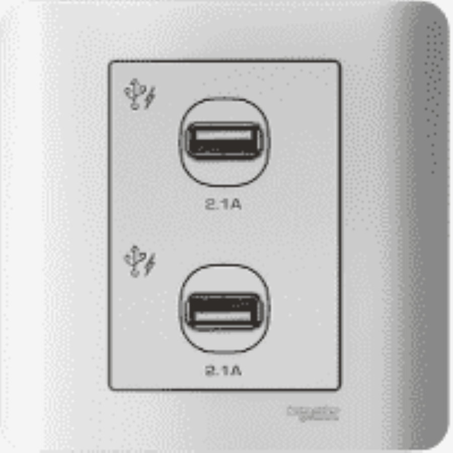 Bộ 2 ổ cắm USB - E8432USB-SA-G19